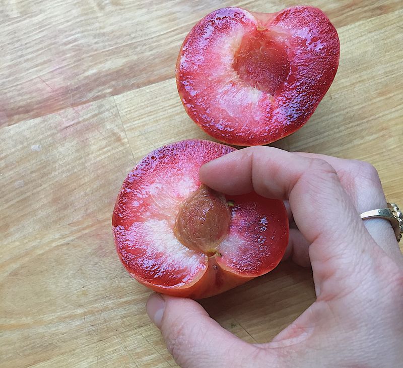 Stone Fruit Pits