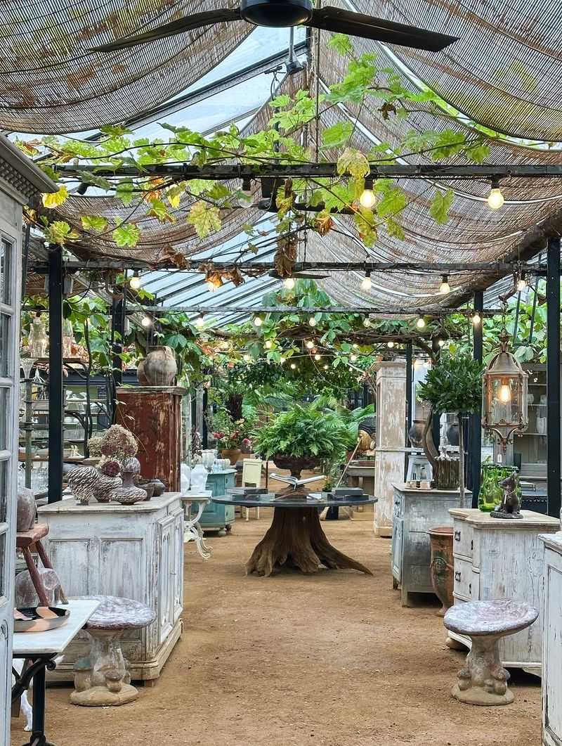 The Tea Rooms at Petersham Nurseries, Richmond