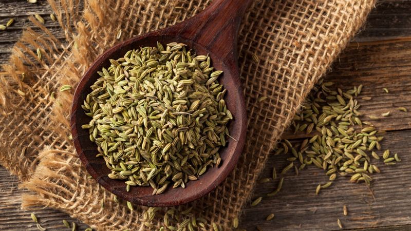 Fennel Seeds