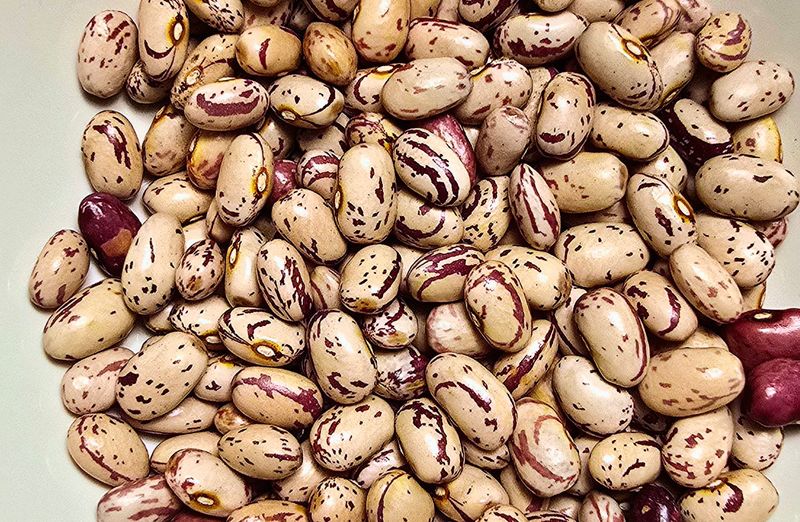 Borlotti Bean
