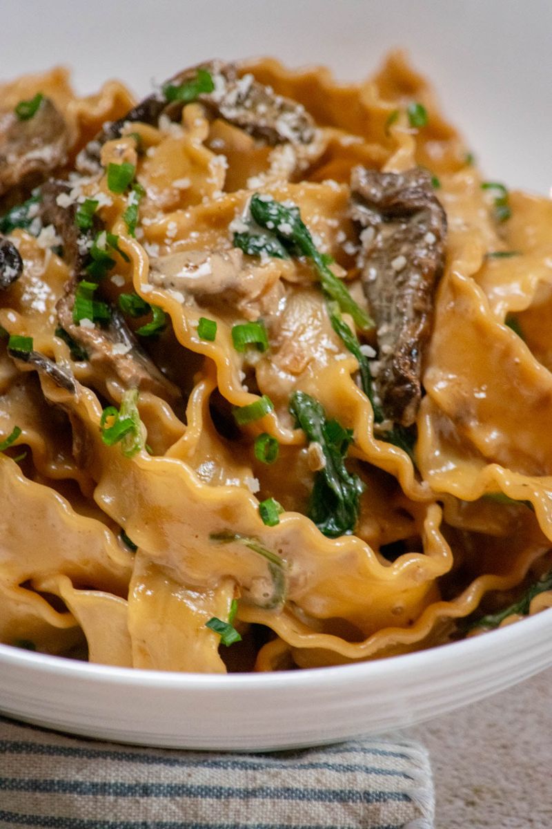 Dried Porcini Mushrooms