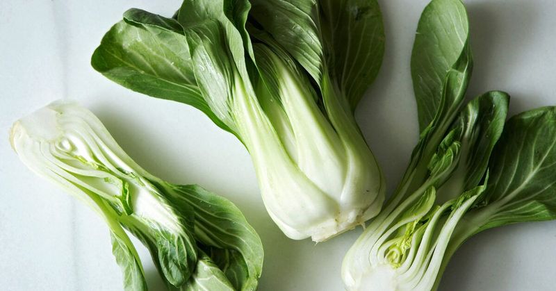 Pak Choi (Bok Choy)