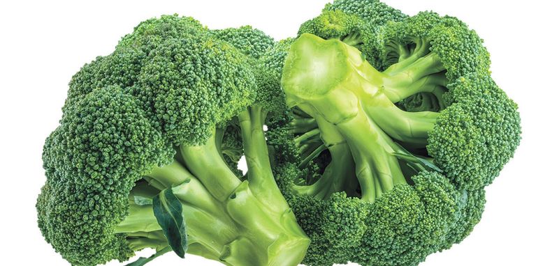 Broccoli