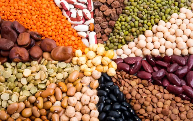 Beans and Lentils