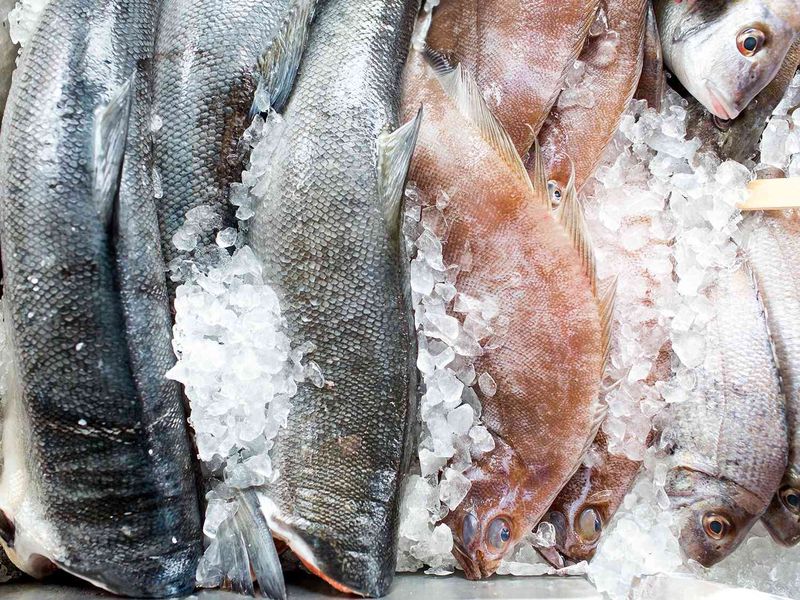 Fresh Fish