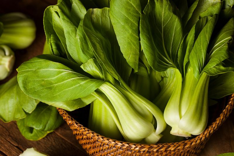 Bok Choy