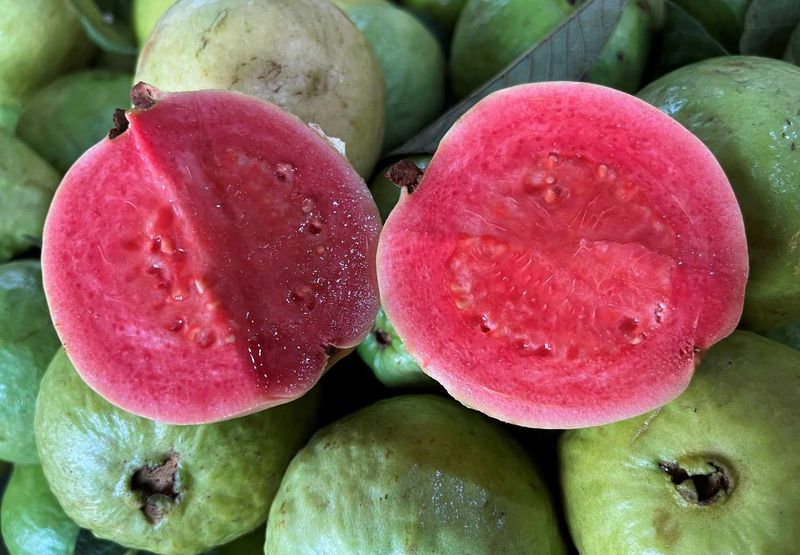 Guava
