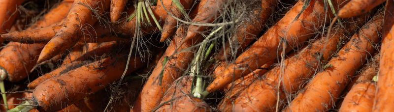 Reduced Cancer Risk