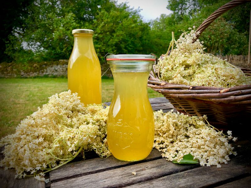 Elderflower and Gooseberry