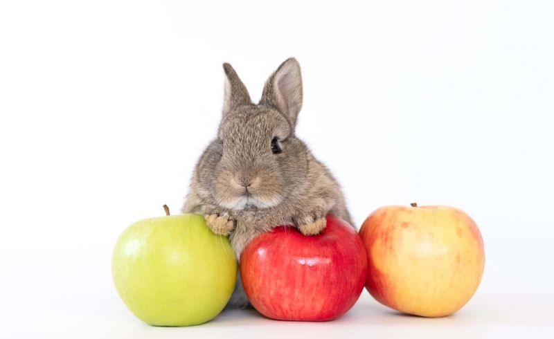 Apple Slices