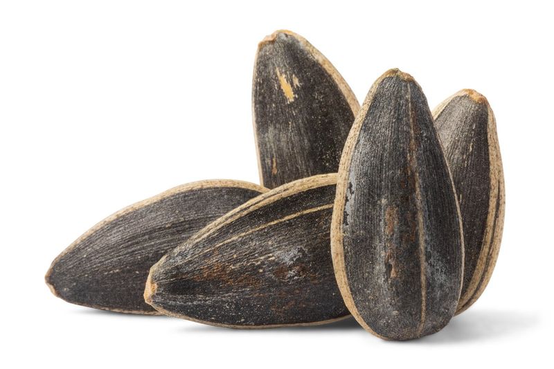 Sunflower Seeds in the Shell, Eaten One at a Time