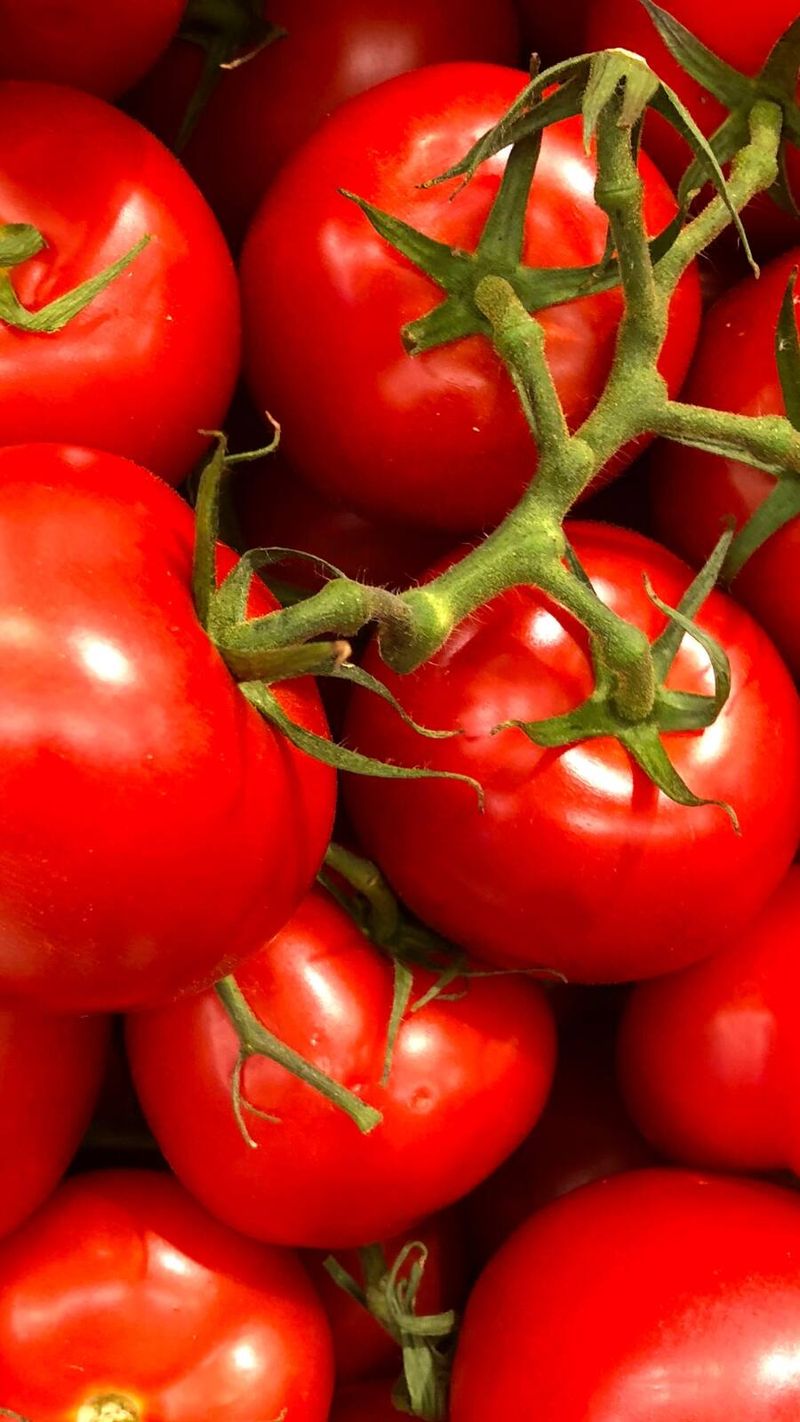 Tomatoes