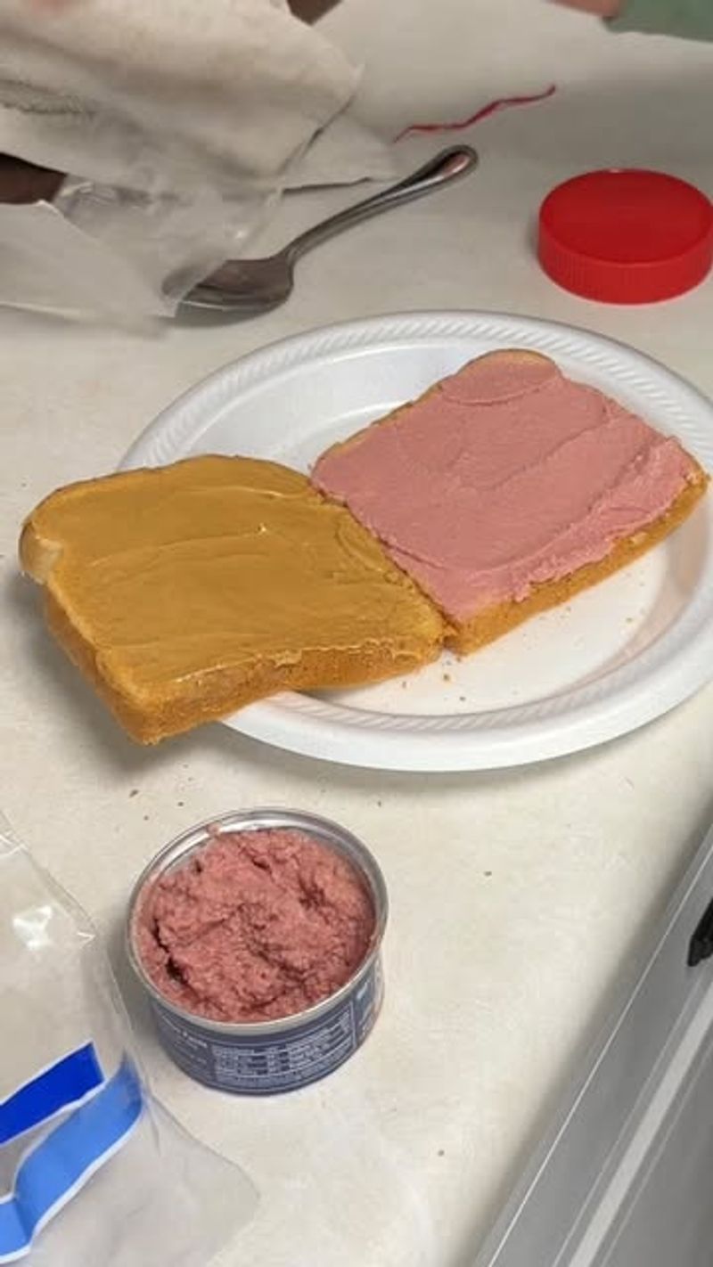 Potted Meat Sandwich