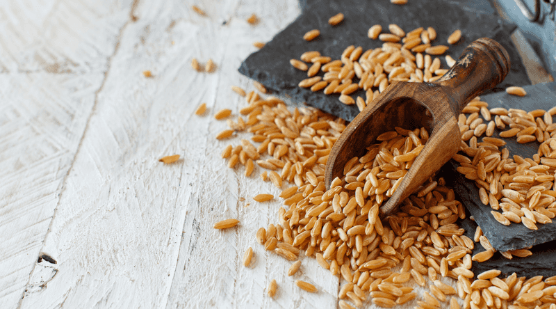 Kamut (Khorasan Wheat)