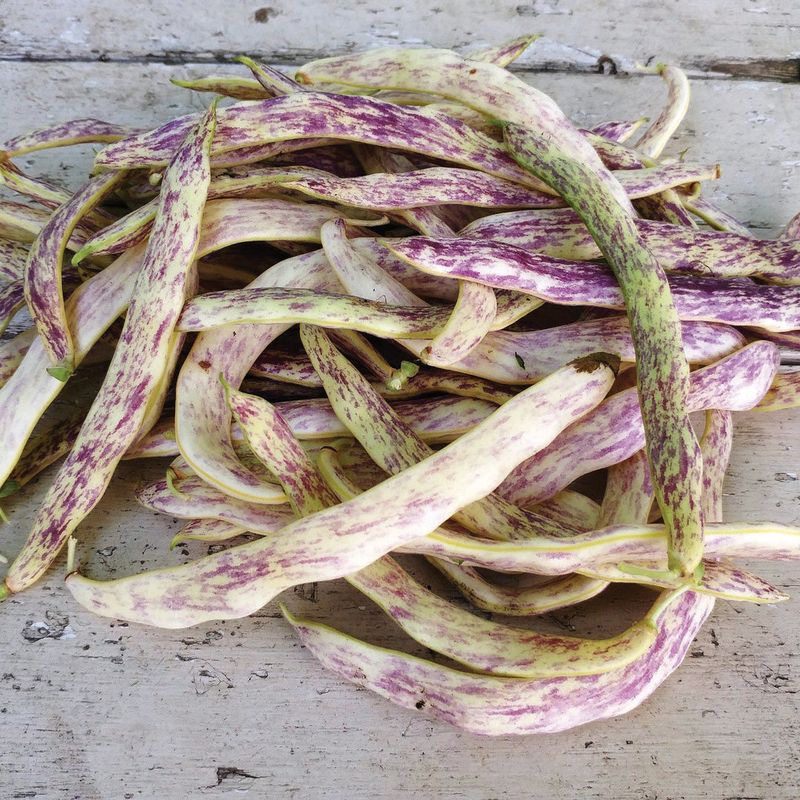 Dragon Tongue Bean