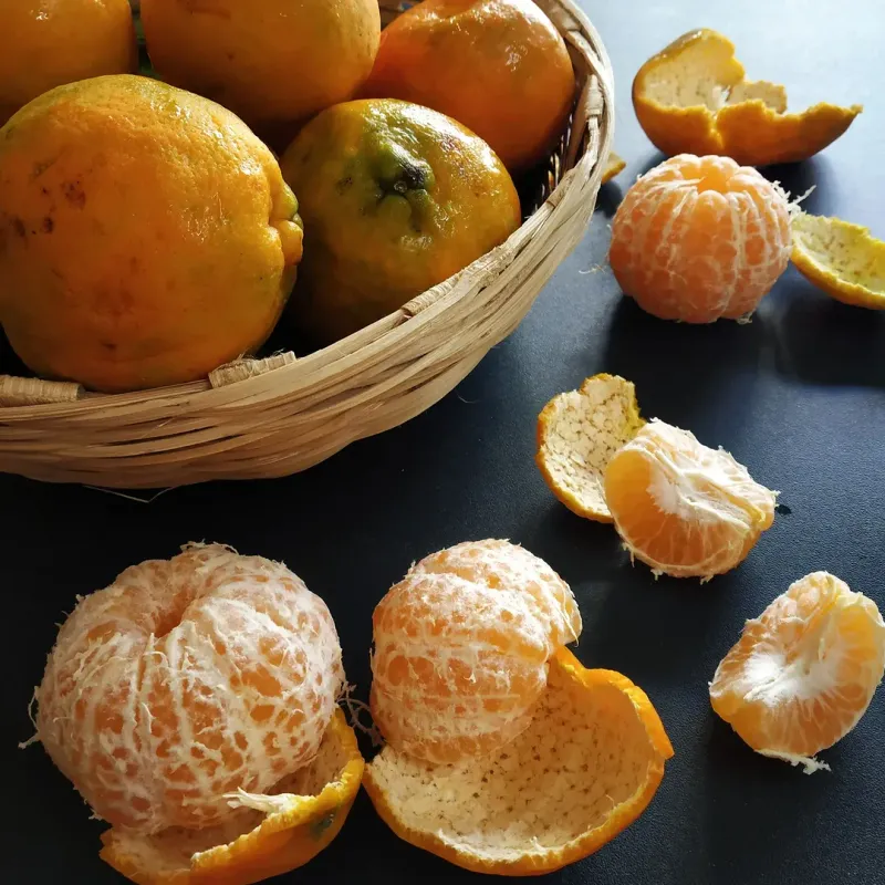 Oranges