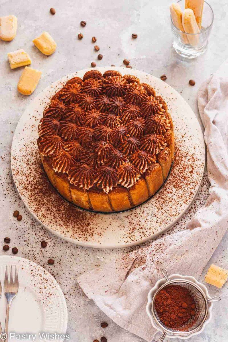 Chocolate Tiramisu