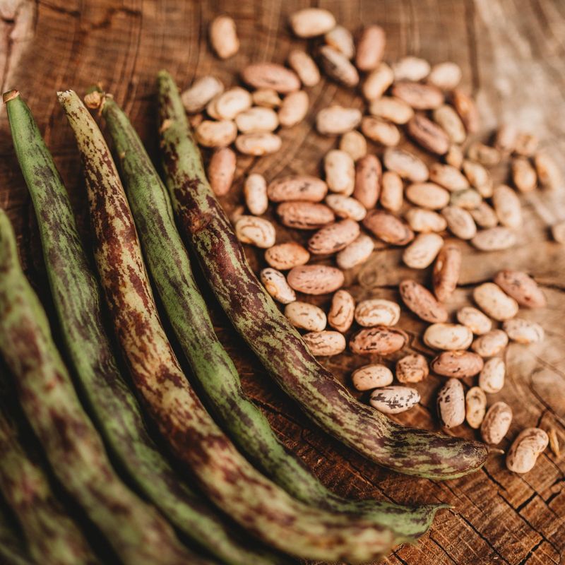 Rattlesnake Bean