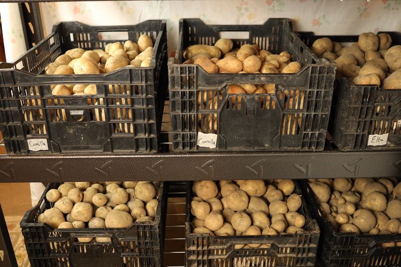 Potatoes