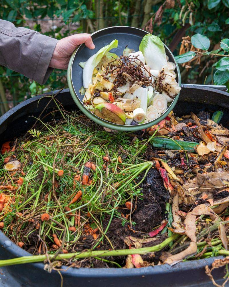 Open Compost or Vegetable Scraps
