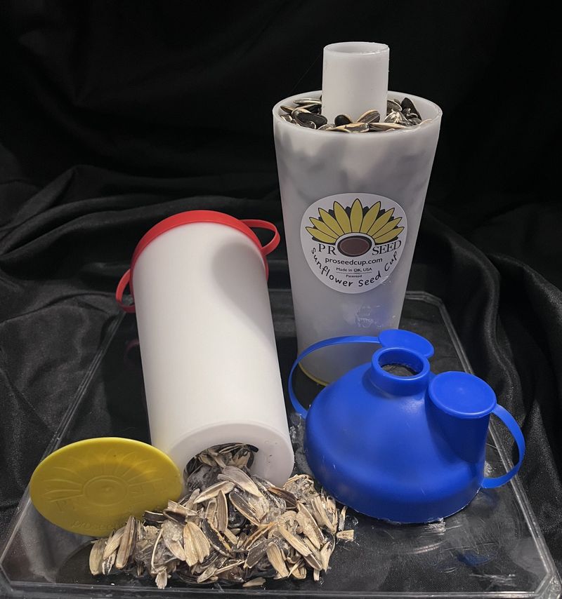 Sunflower Seeds