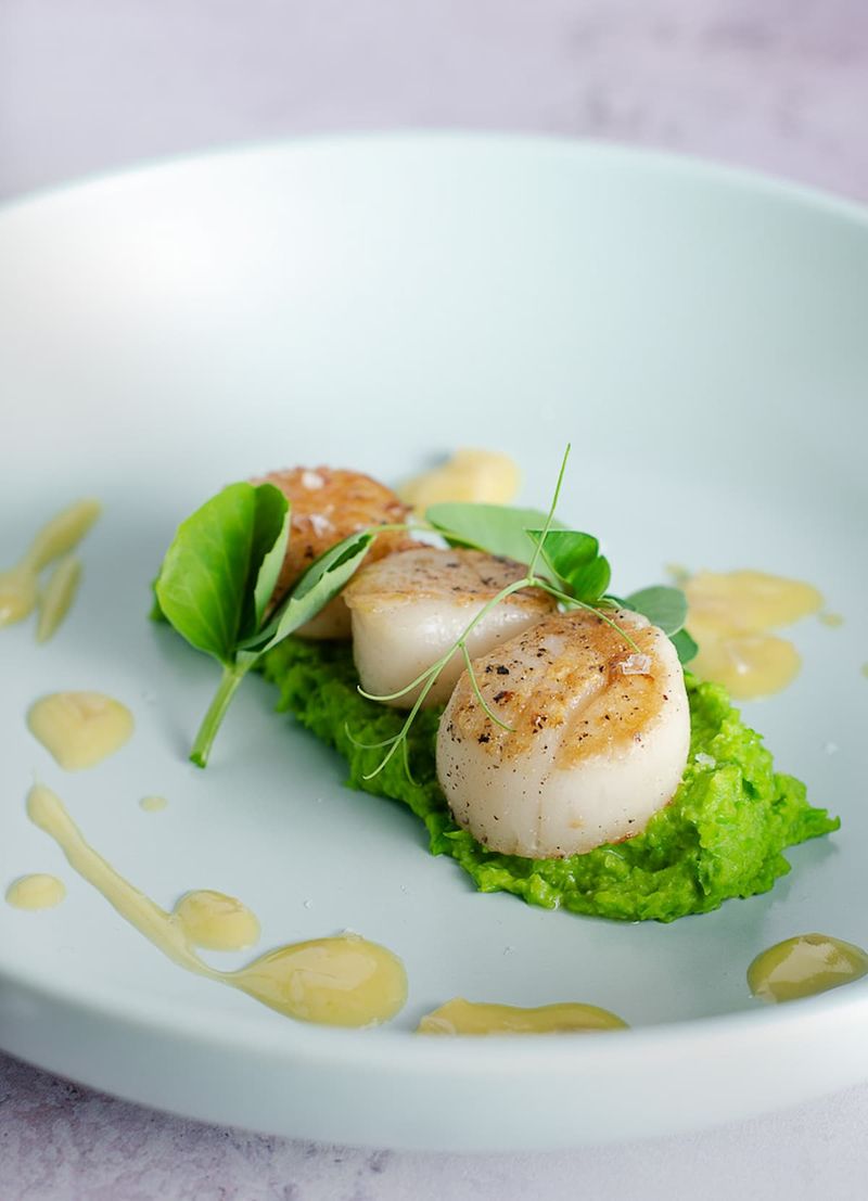 Seared Scallops With Pea Puree
