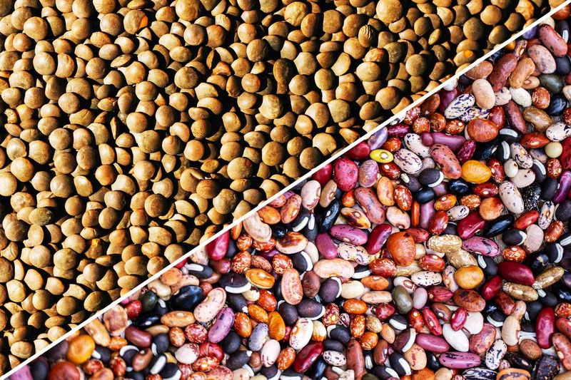 Beans and Lentils