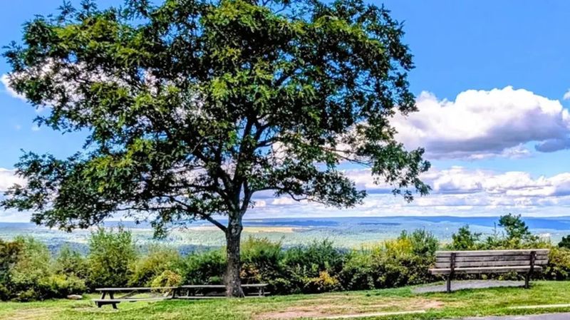 A Cozy Spot with Shade and a View