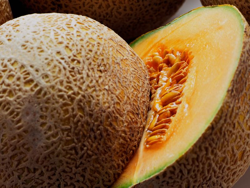 Cantaloupe