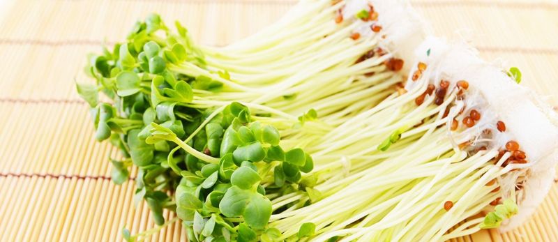 Sprouts