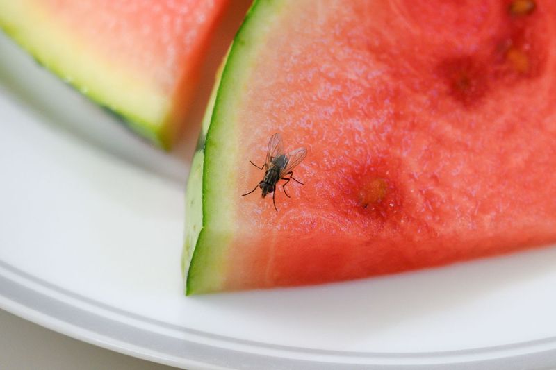 Cut Watermelon