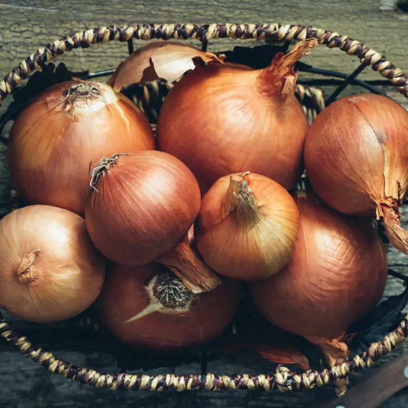 Storing Whole Onions in the Refrigerator