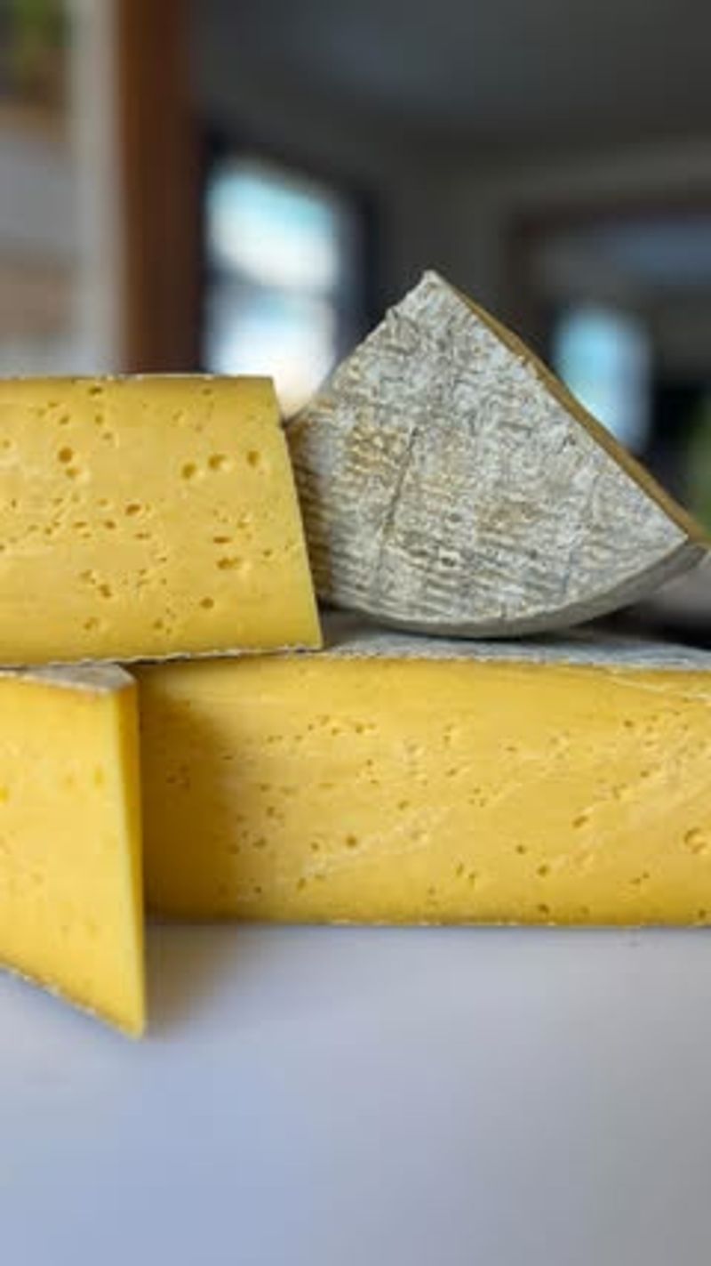 Cheese