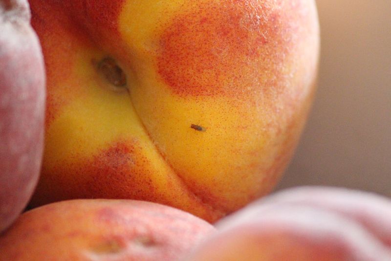 Ripe Peaches and Plums