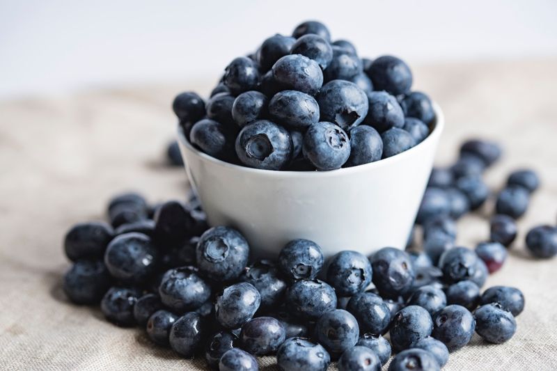 Boosts Brain Power and Memory
