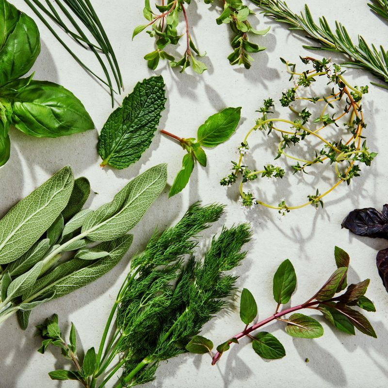 Use Fresh Herbs at the Right Time