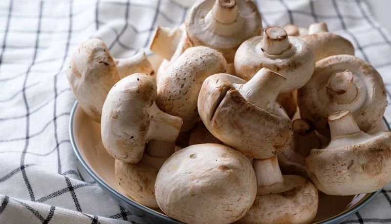 Mushrooms