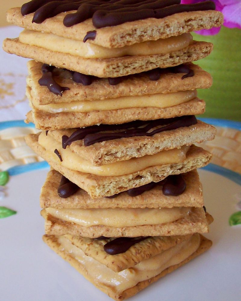 Frozen Pudding Sandwiches