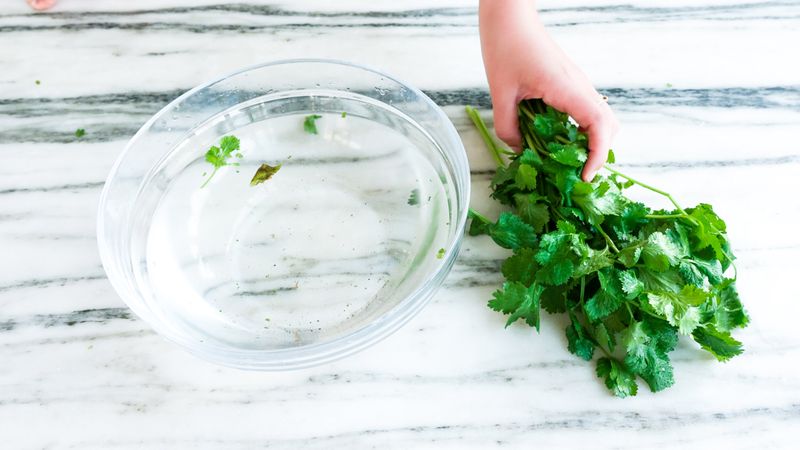 Fresh Herbs