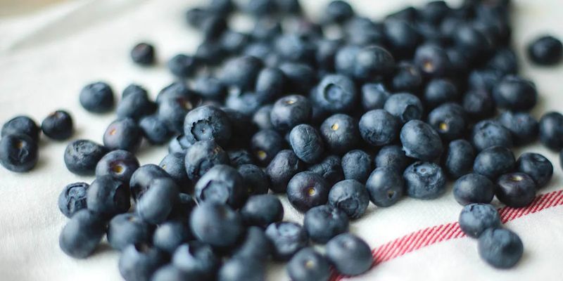 Blueberries