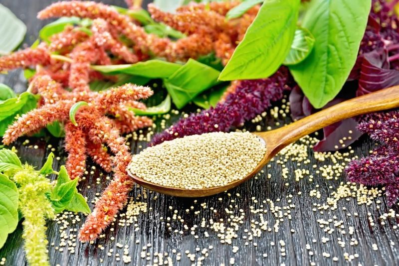 Amaranth Seeds