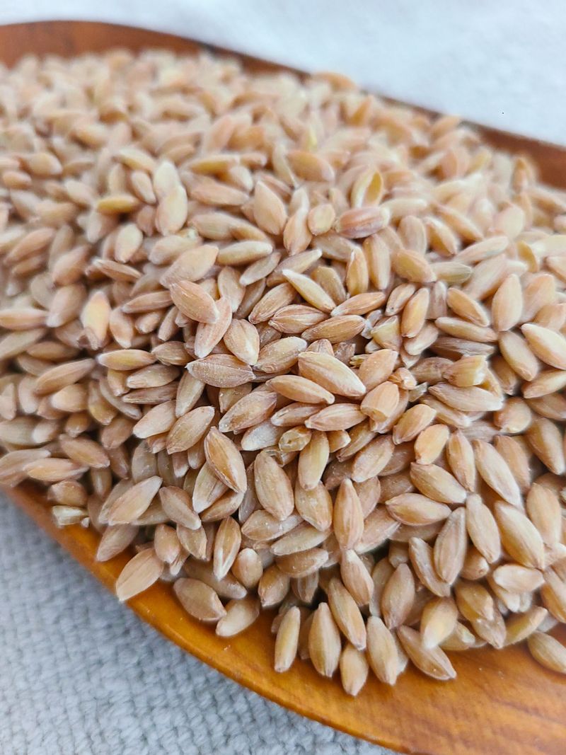 Einkorn