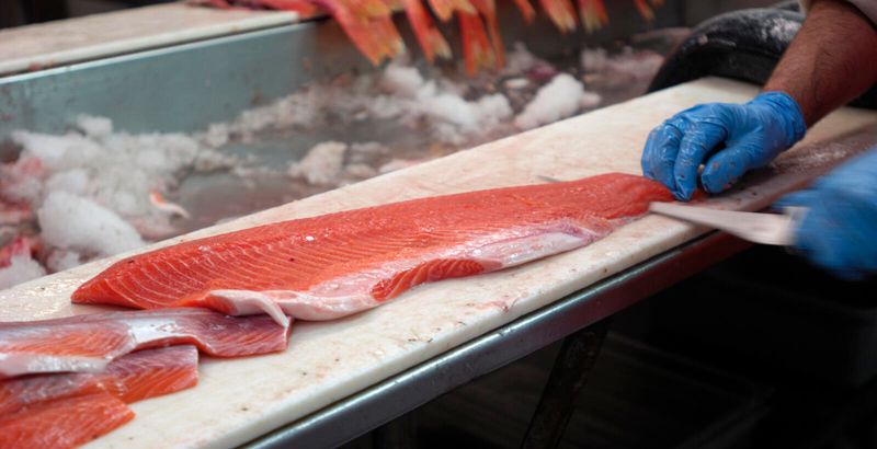 Fish or Seafood