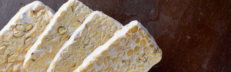 Tempeh