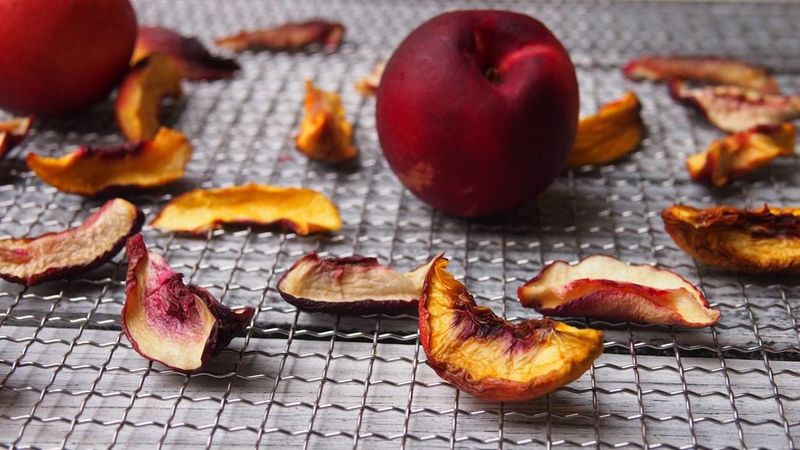 Dehydrate Nectarines Into Chewy Snacks