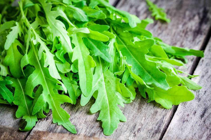 Arugula