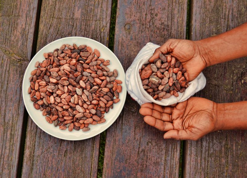Chocolate Was Once Used as Currency