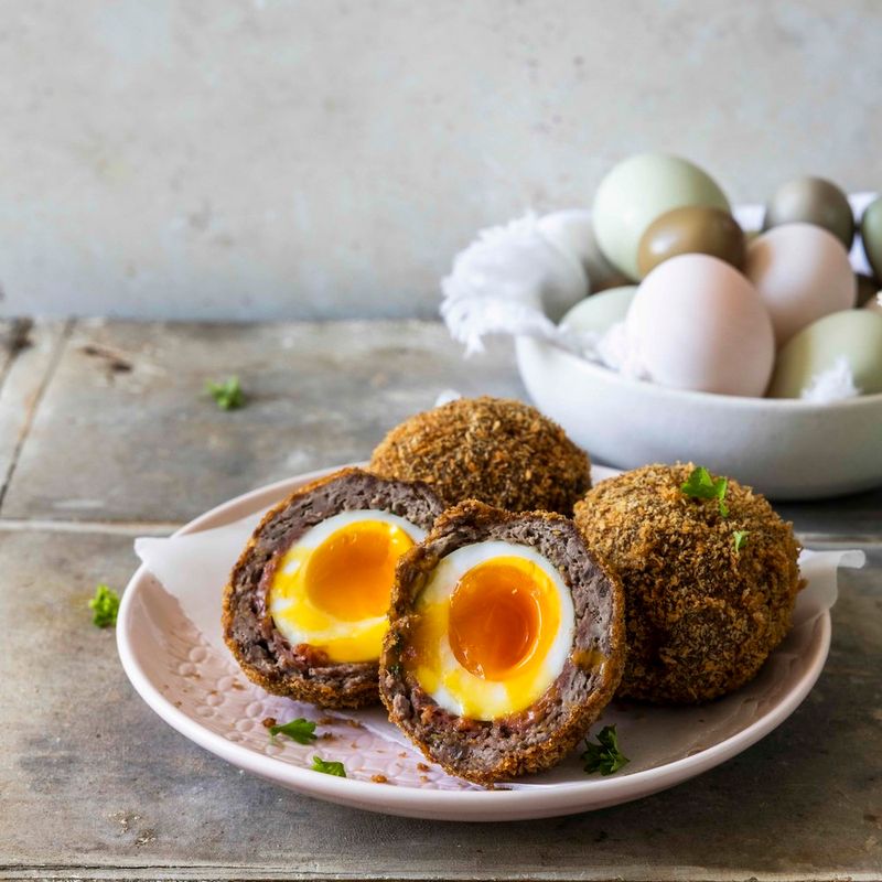Scotch Egg