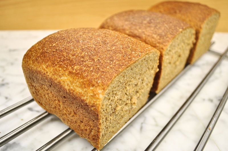 Whole Wheat Bread