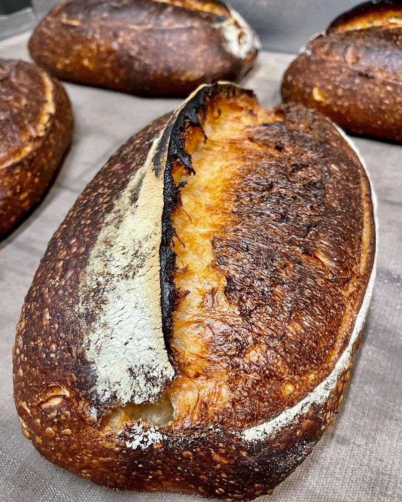 Bread